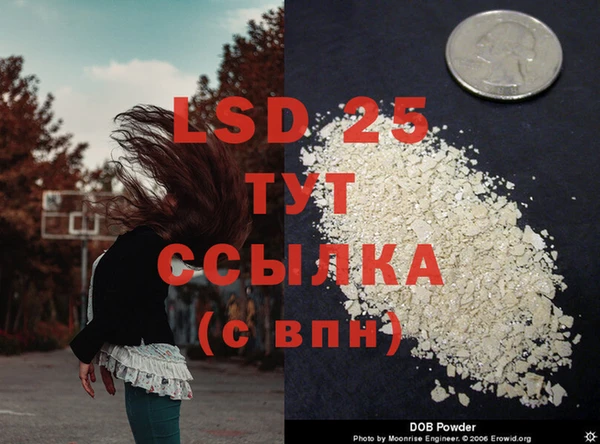 стафф Богородицк