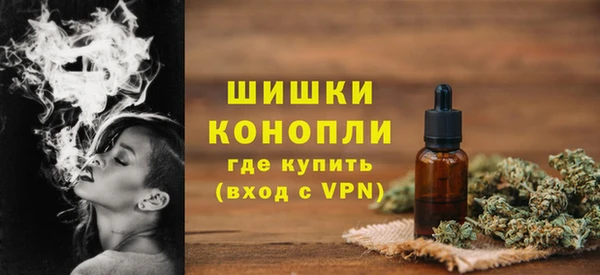 стафф Богородицк