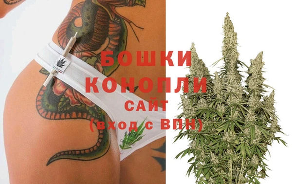 стафф Богородицк