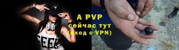 стафф Богородицк