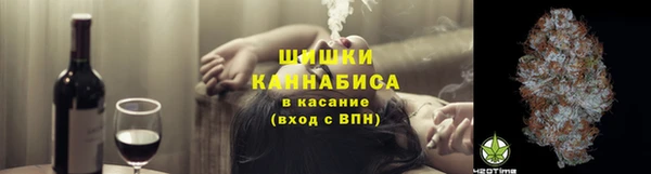 стафф Богородицк