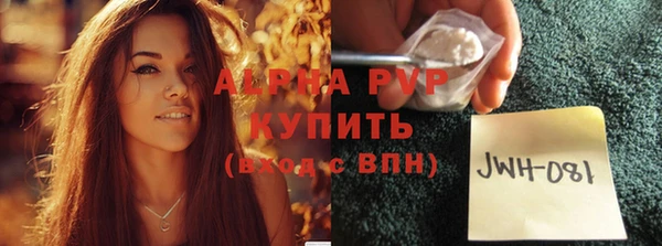 стафф Богородицк