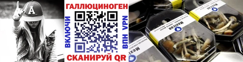 Галлюциногенные грибы мухоморы  Купить закладки  Шадринск 