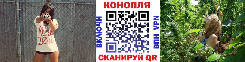 Купить закладки  Шадринск  Бошки Шишки VHQ 